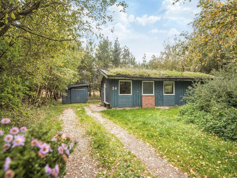House | View from property