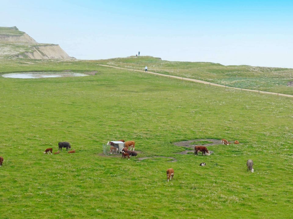 House | View from property