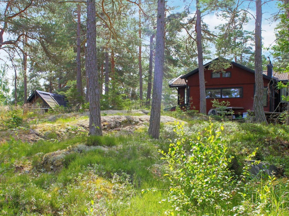 House | Property grounds