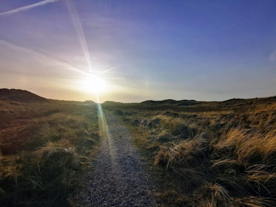 House | Miscellaneous