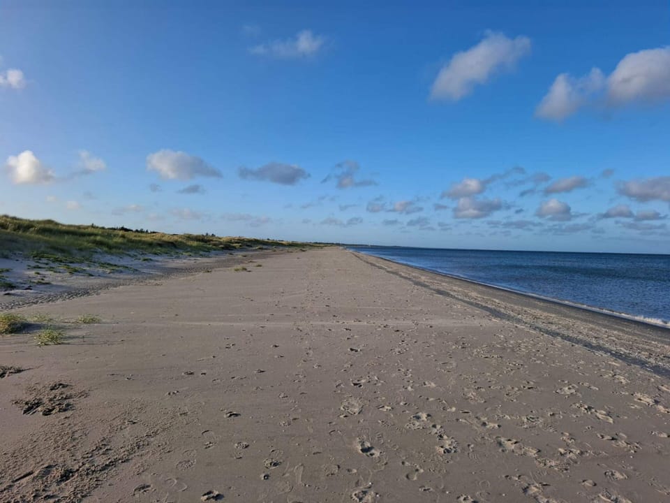 4 Star Holiday Home in Albaek Cottage in Denmark