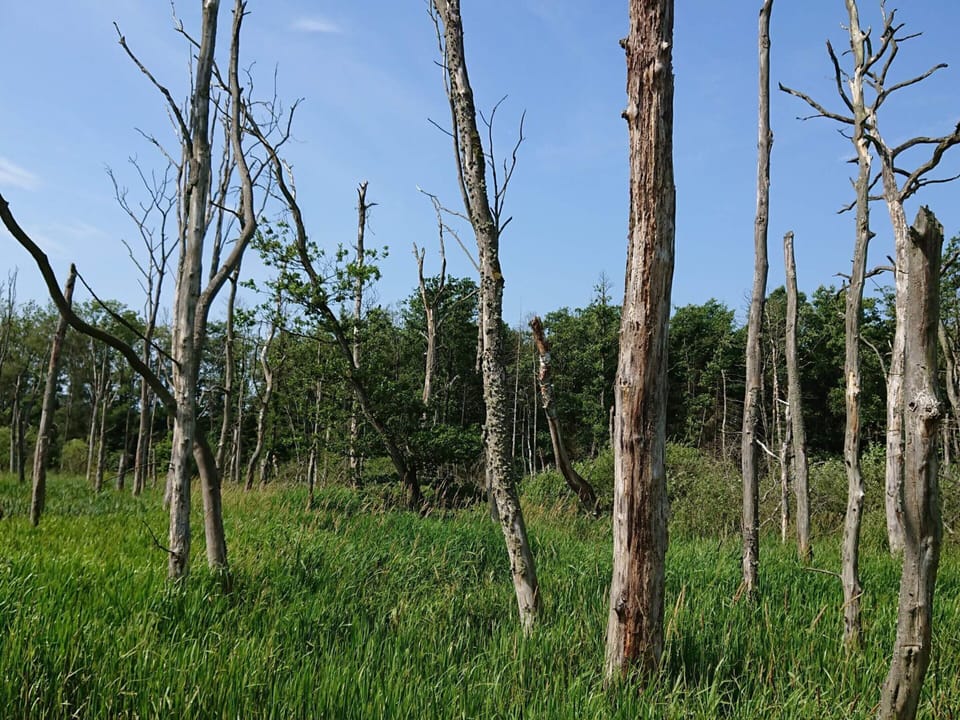 House | Miscellaneous