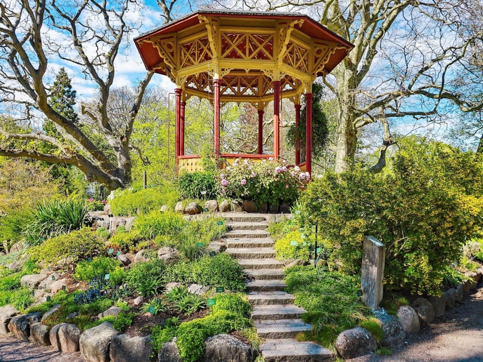 House | Property grounds
