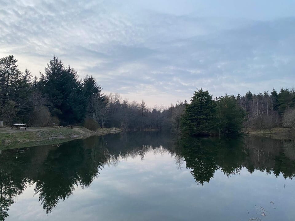 House | Water view