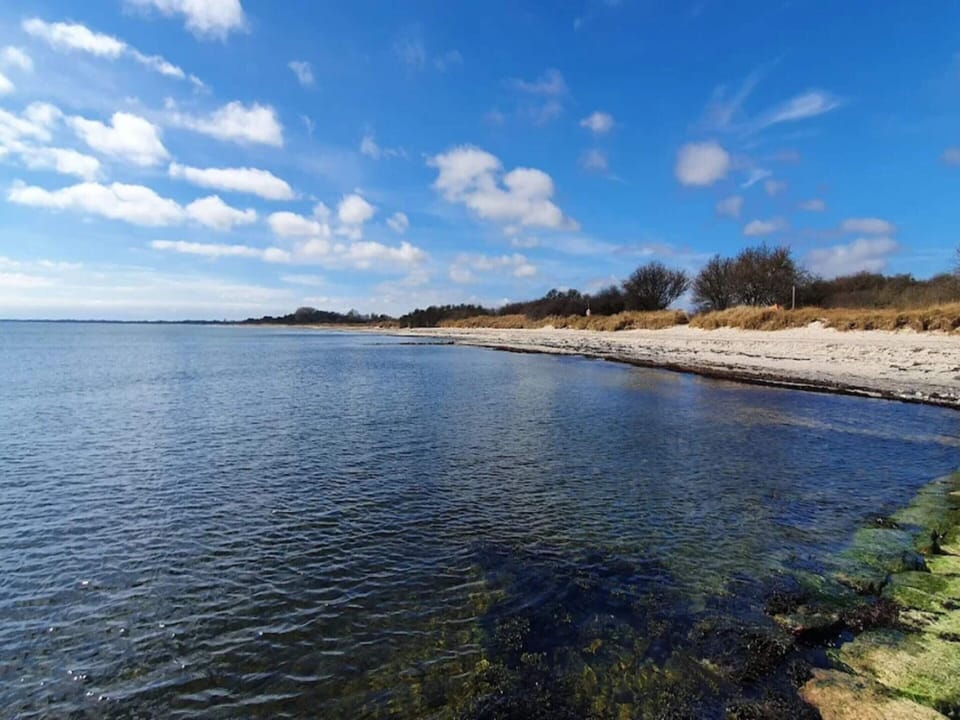 House | Water view