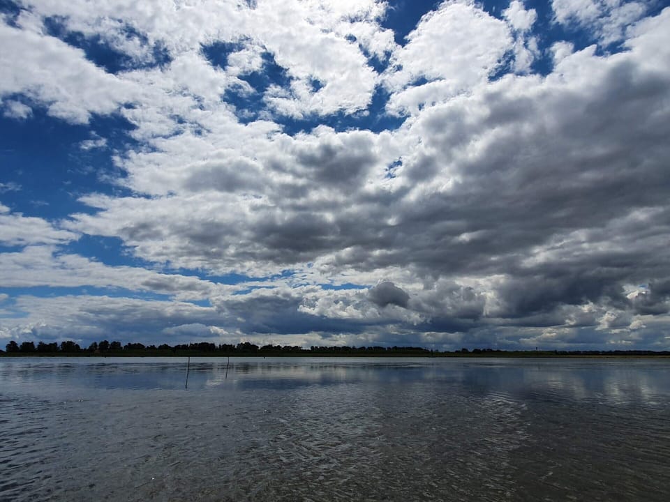 House | Water view