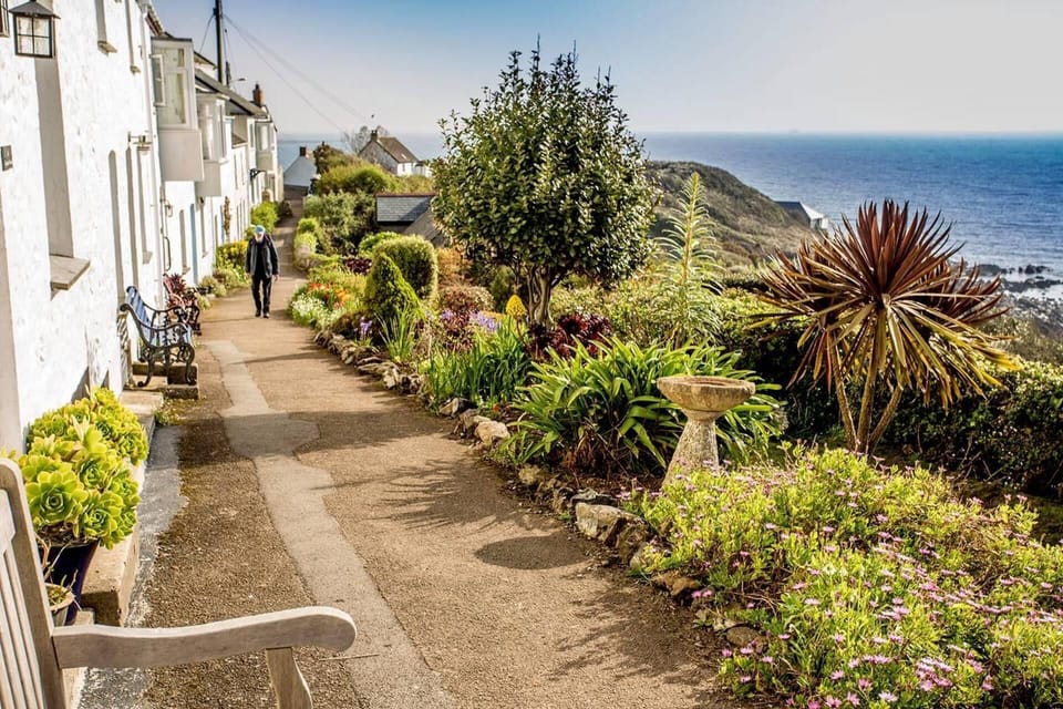 House | Property grounds