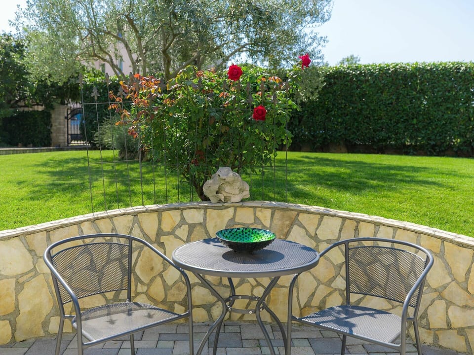 Plant, Table, Property, Furniture, Flower, Sky, Chair, Botany, Outdoor Table, Green