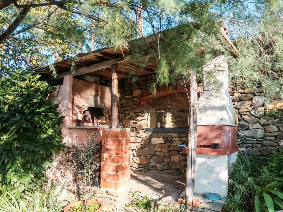 Plant, Window, Tree, Building, Wood, Sky, Cottage, Landscape, Shack, Natural Landscape