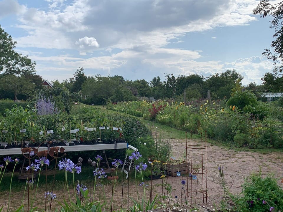 House | Property grounds