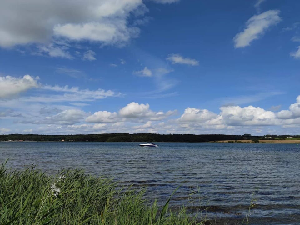 House | Water view