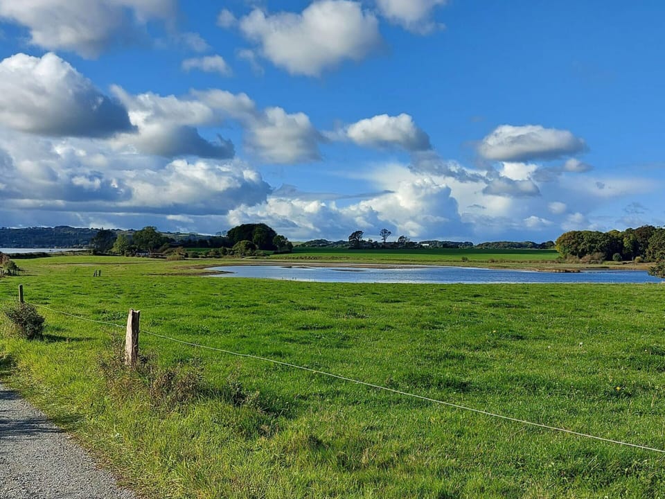 House | Miscellaneous