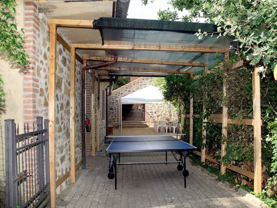 Property, Building, Pergola, Room, Backyard, Yard, Garden, Furniture, Tree, House