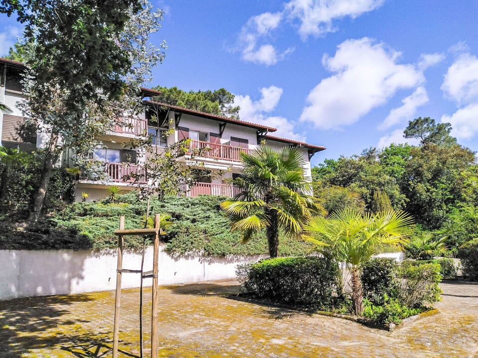 Vegetation, Shrub, Residential Area, Garden, Estate, Hacienda, Shade, Lawn, Landscaping