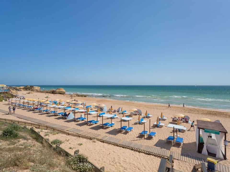 Water, Sky, Beach, Natural Environment, Plant, Coastal And Oceanic Landforms, Leisure, Horizon, Shore