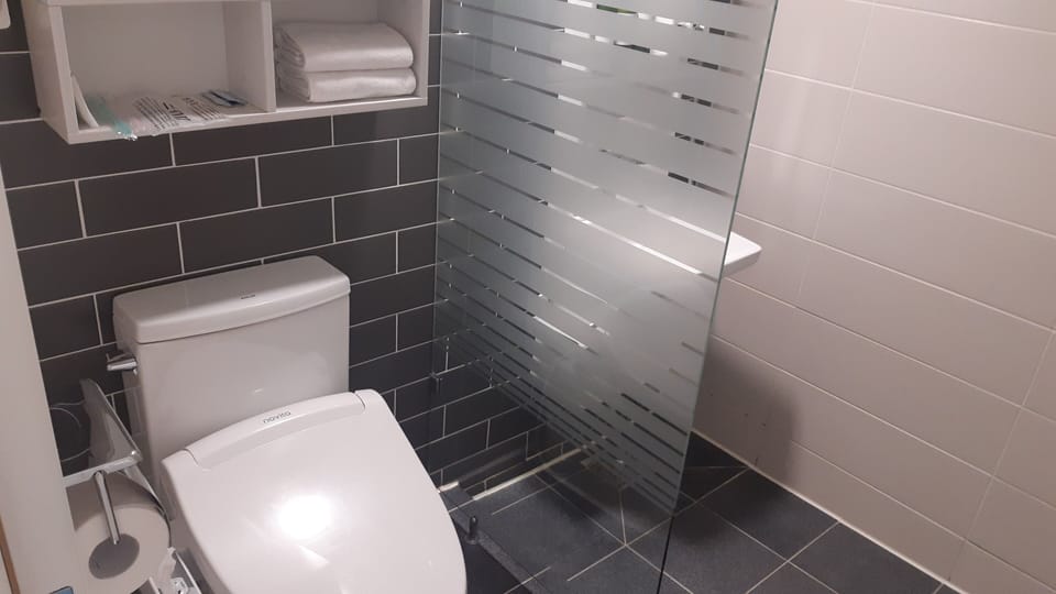 Shower, free toiletries, hair dryer, slippers