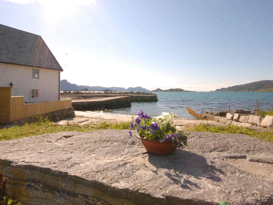 House | Property grounds