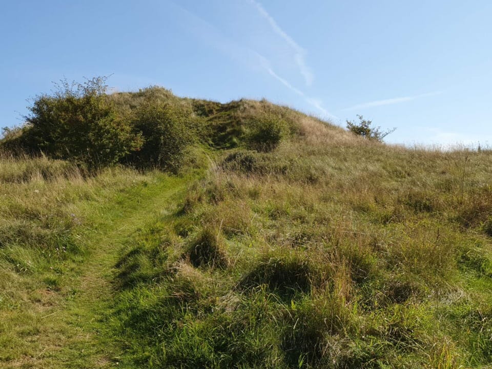 House | Miscellaneous