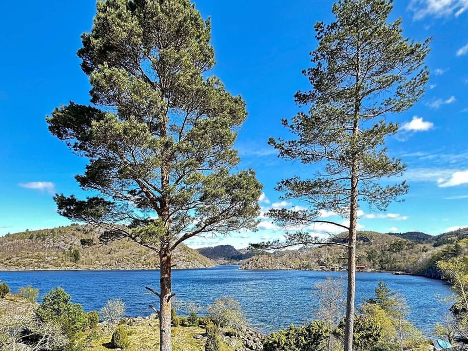 House | Water view