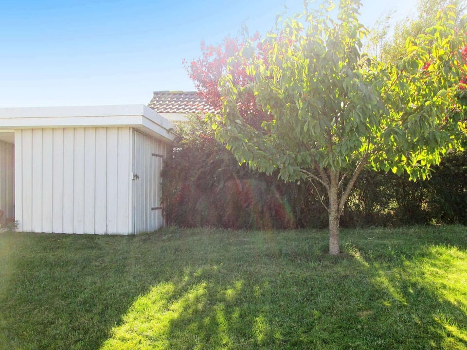 House | View from property
