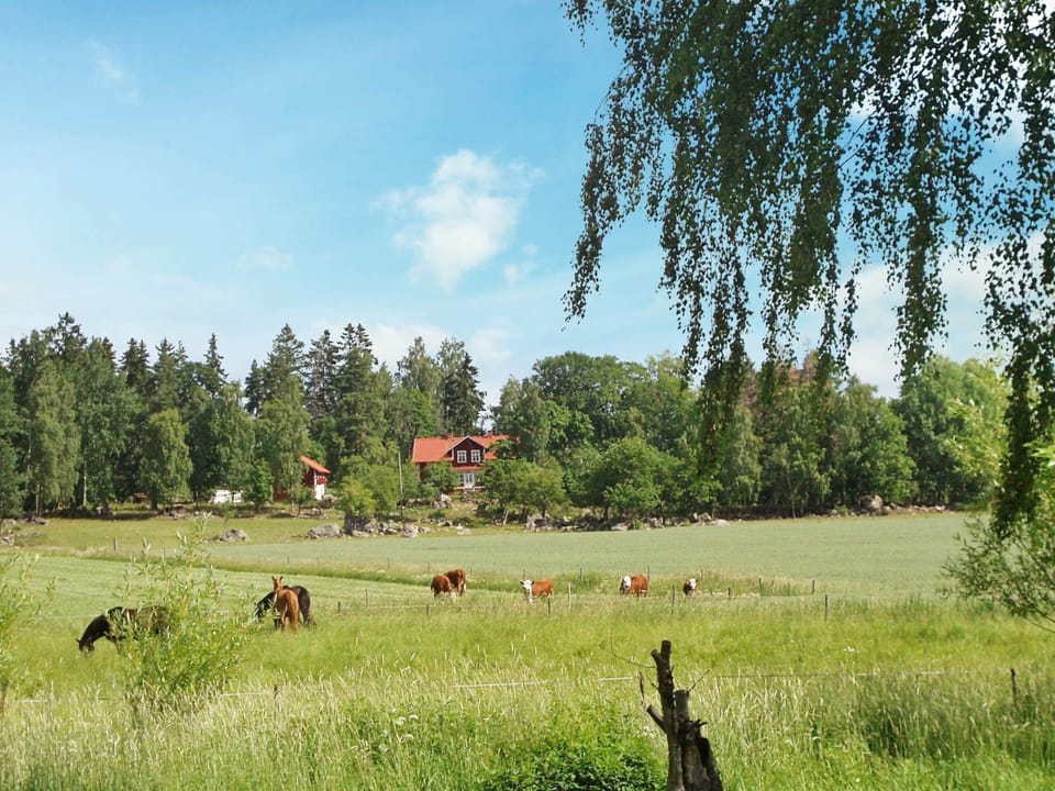 House | View from property