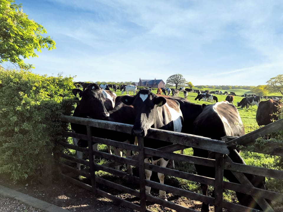Surrounding area | The Pigsty, The Stable - Domvilles Farm, Audley