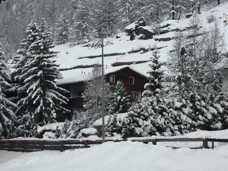 Snow, Building, Window, Freezing, House, Slope, Real Estate, Wood, Geological Phenomenon, Tree