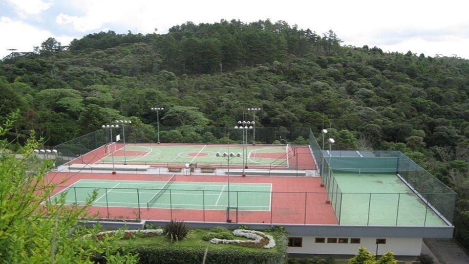Sport court