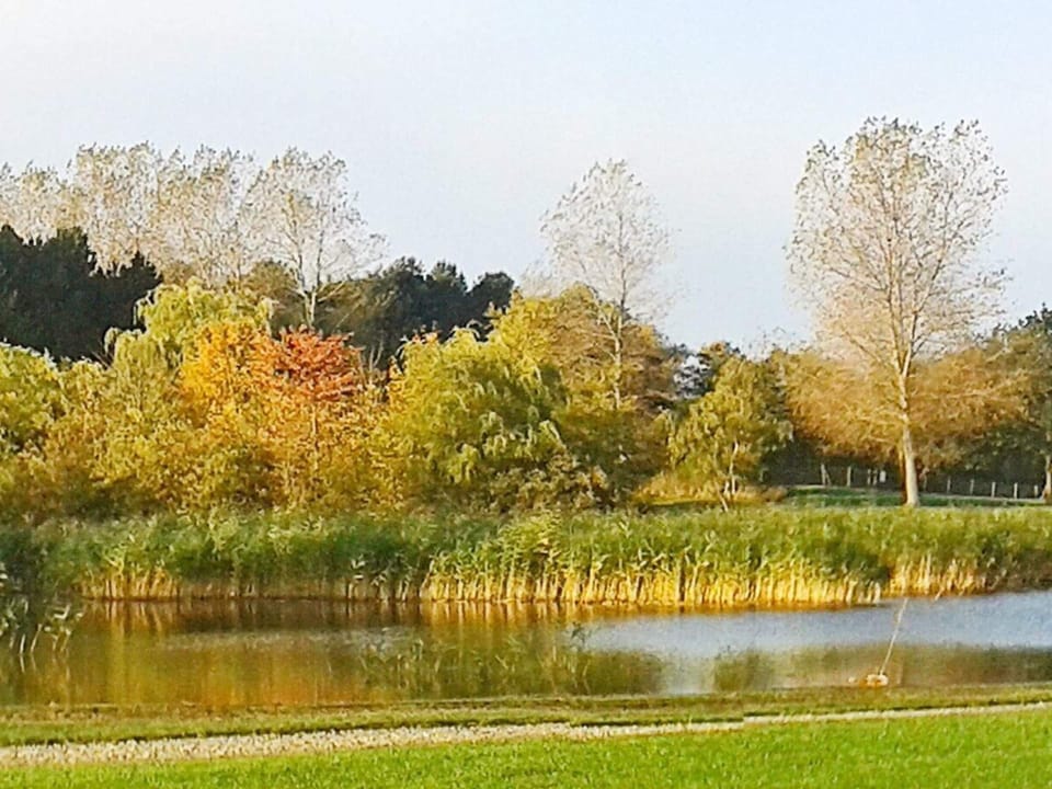 House | Water view