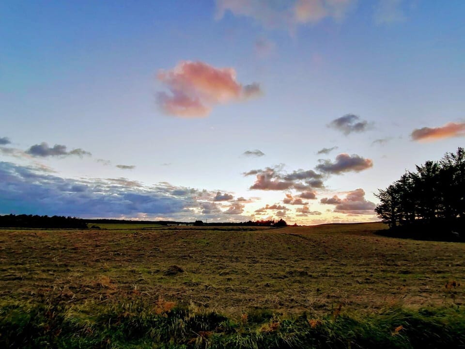 House | Miscellaneous