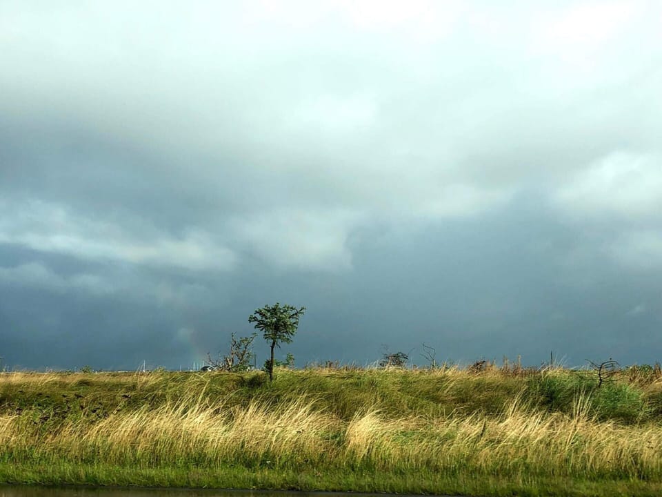 House | Miscellaneous