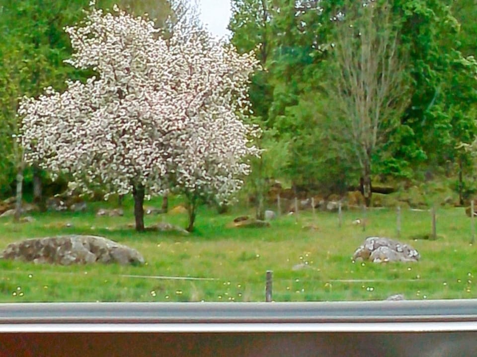 House | View from property