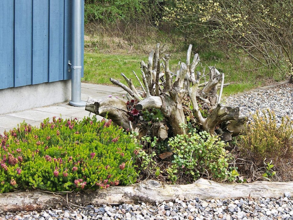 House | View from property