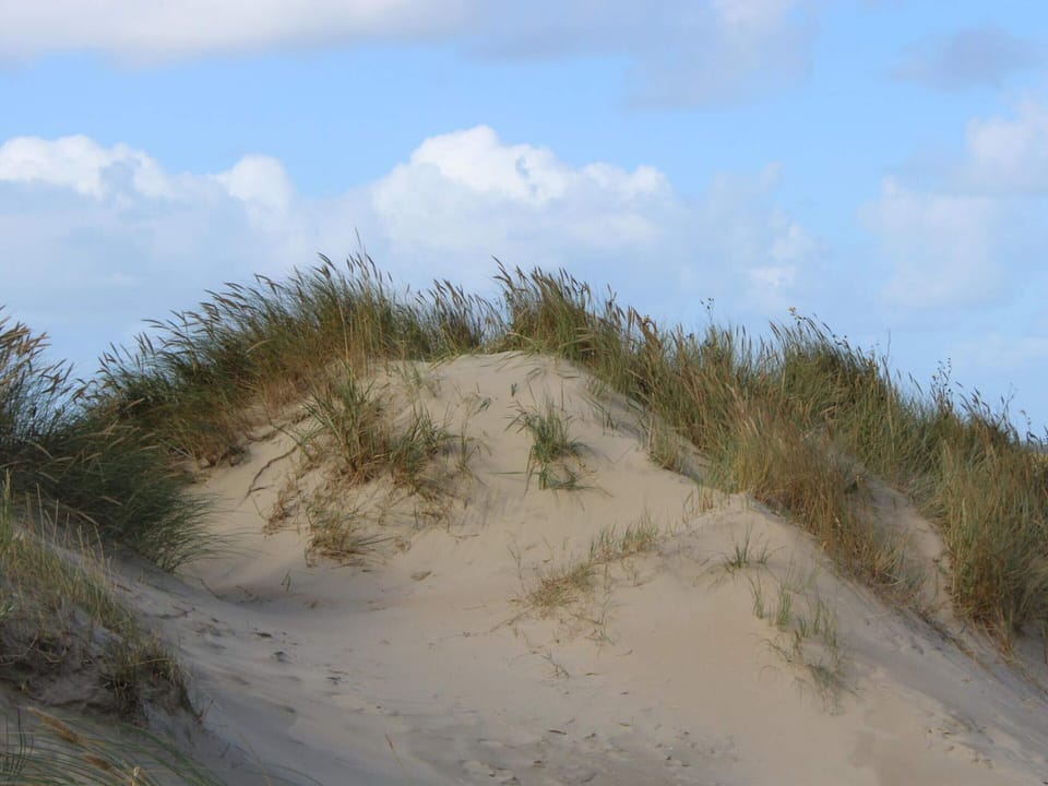 House | Miscellaneous