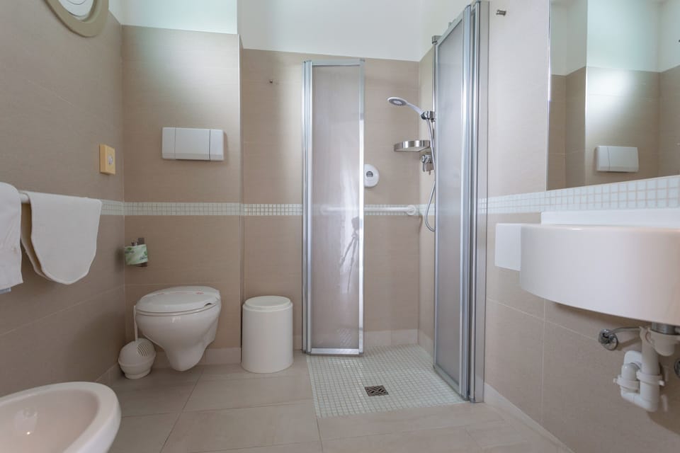 Shower, hair dryer, bidet, towels