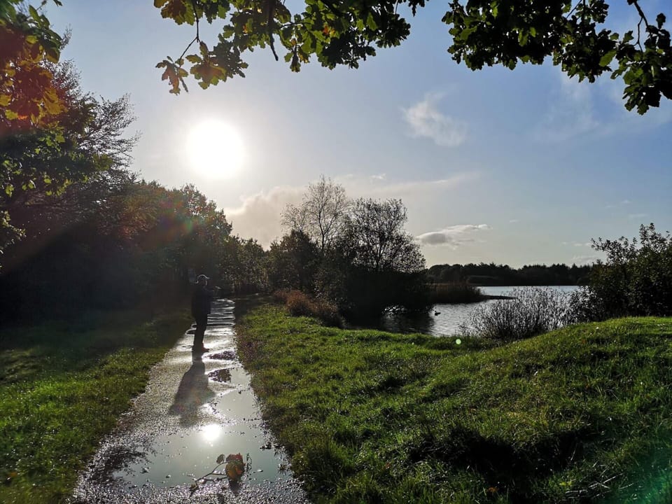 House | Miscellaneous