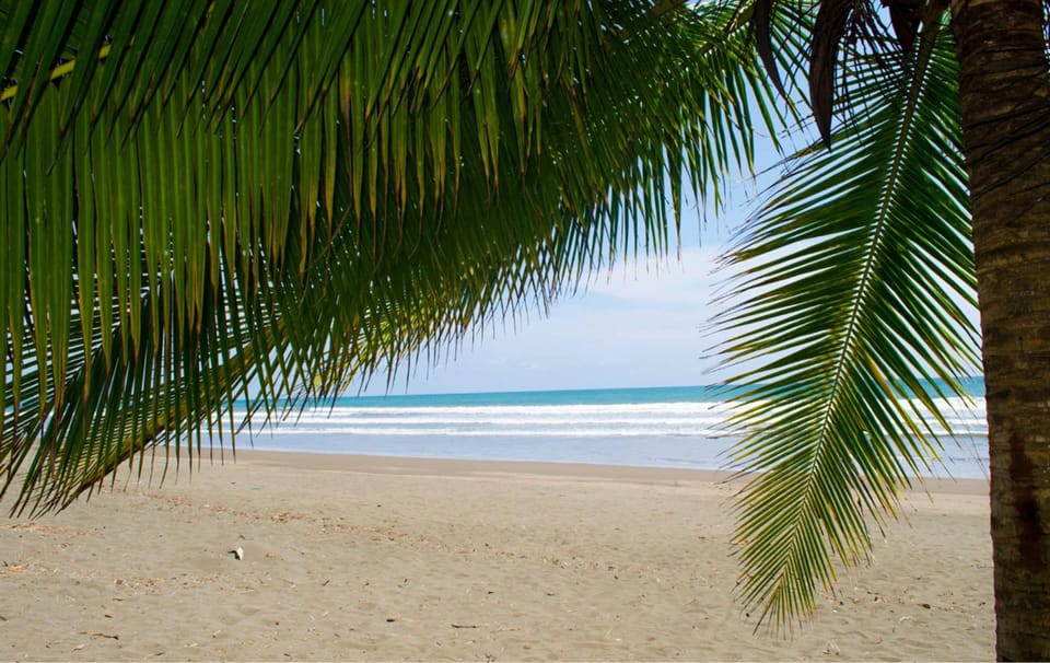 Hotel Cocomar Beachfront Hotel Hotel in Puntarenas Province