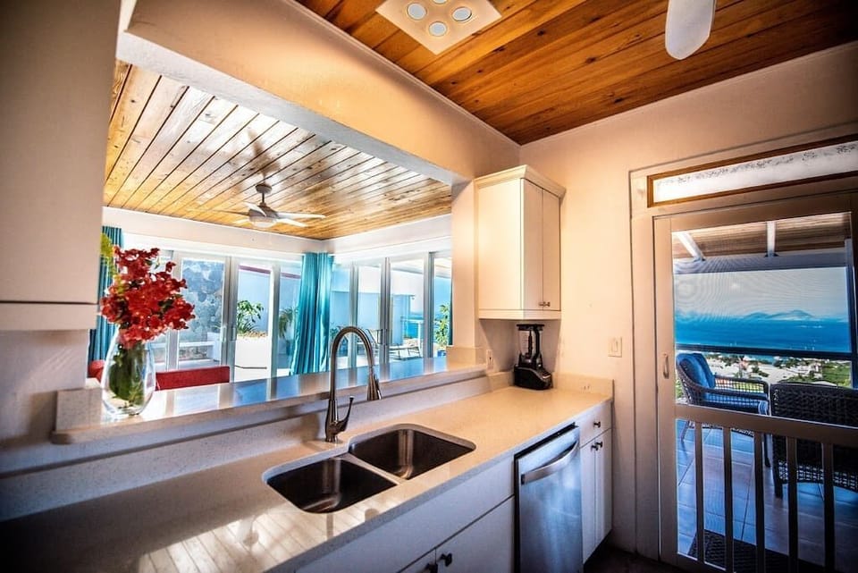 View from Kitchen