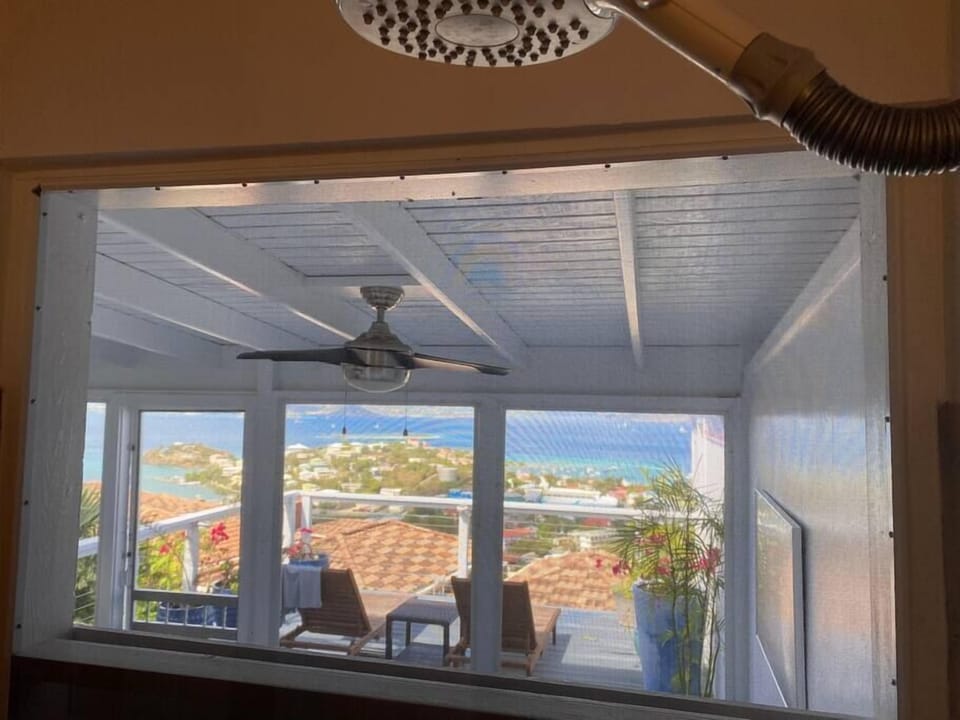 View from the Shower