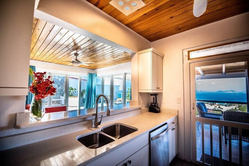 View from Penthouse Kitchen