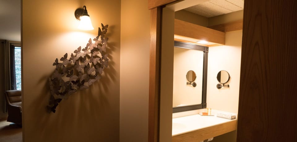 Combined shower/tub, free toiletries, hair dryer, towels