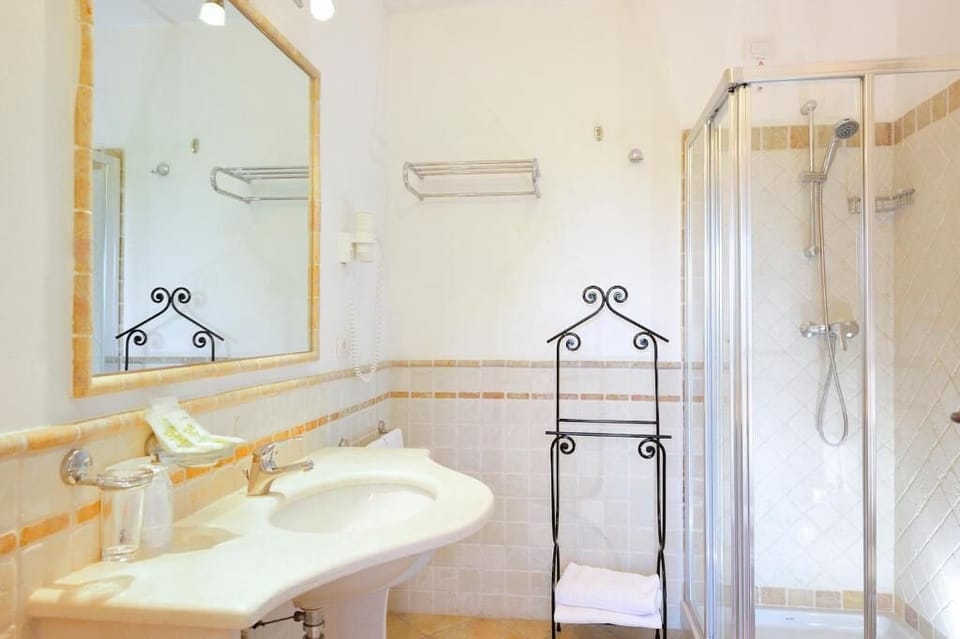 Hair dryer, bidet, towels, toilet paper