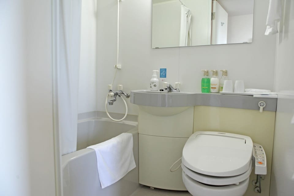 Combined shower/tub, free toiletries, hair dryer, slippers