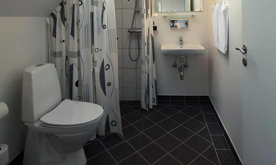 Superior Room, 2 Twin Beds | Bathroom | Shower, hair dryer, towels, soap