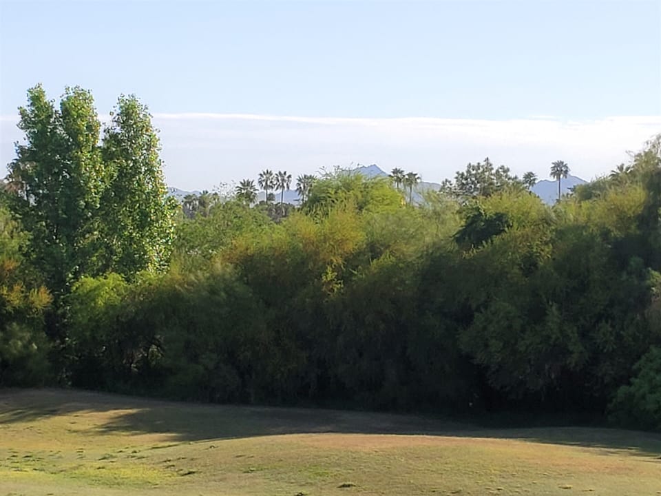Views from the balcony