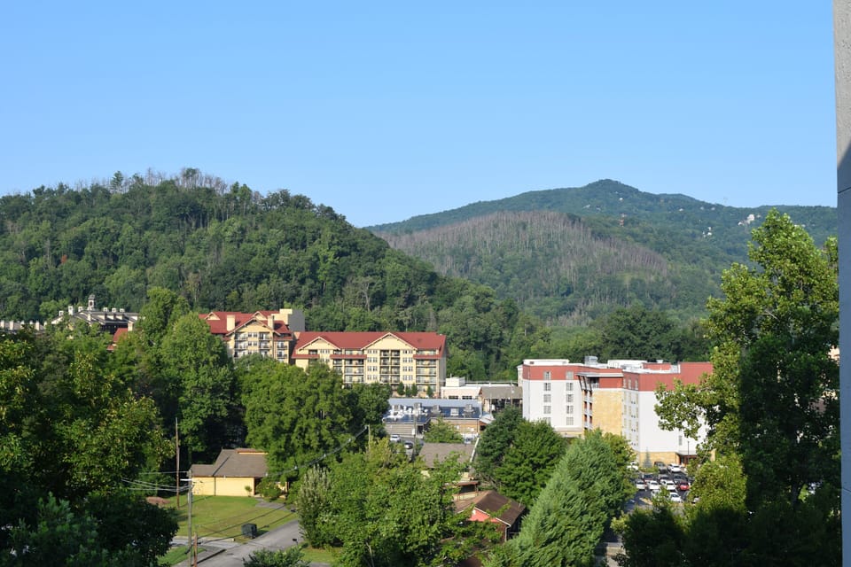 Downtown and Mountain views