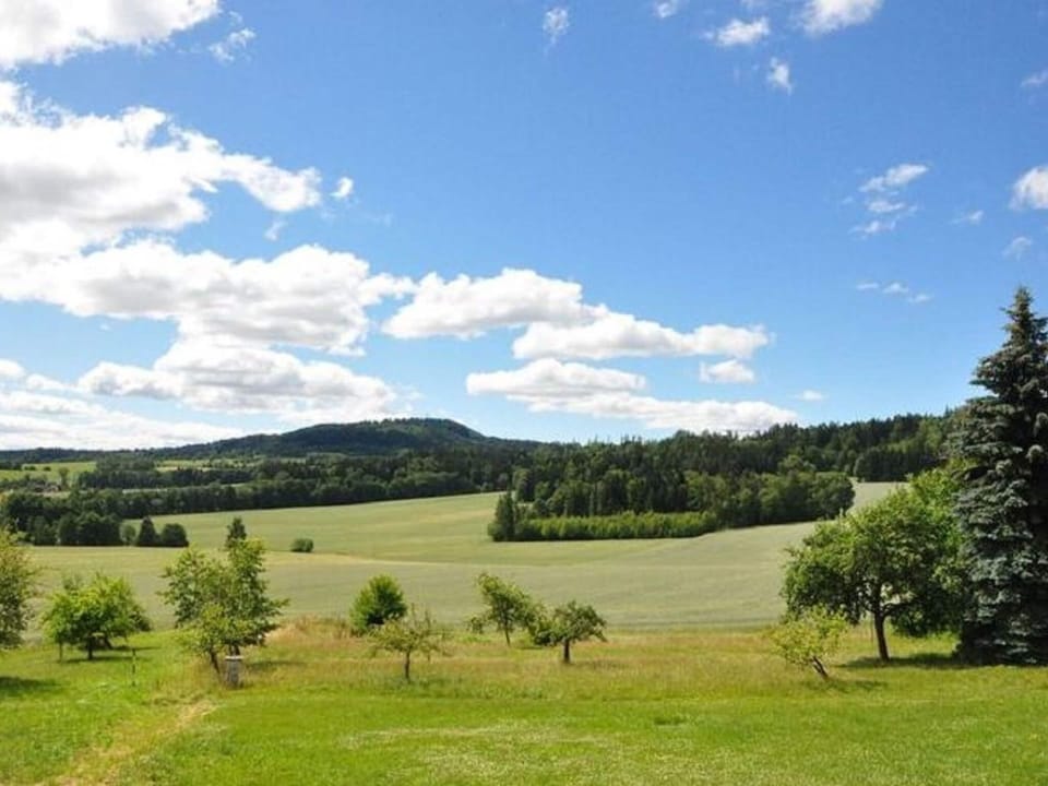 House | View from property