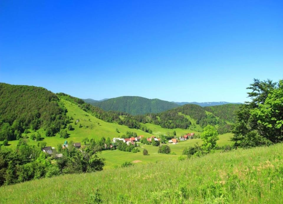 House | View from property