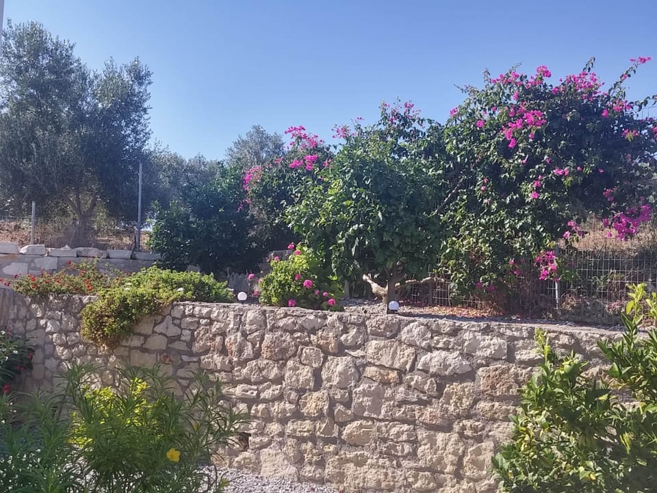 Villa | Garden