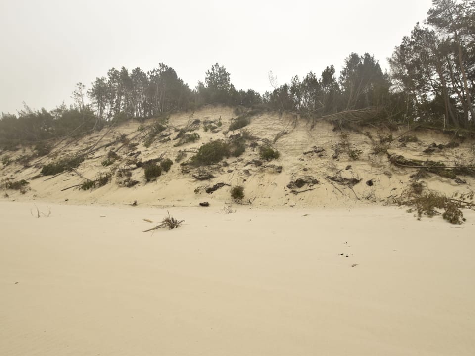 House | View from property